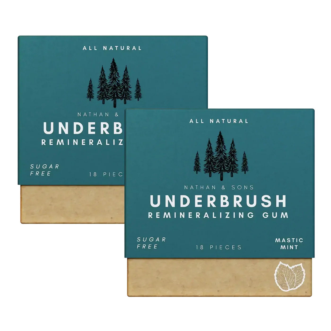 Mastic Mint Remineralizing Gum